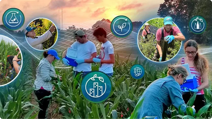 EOP people working in field 